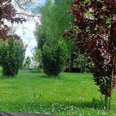 Agroturystyka Pod Debem Jonkowo Esterno foto