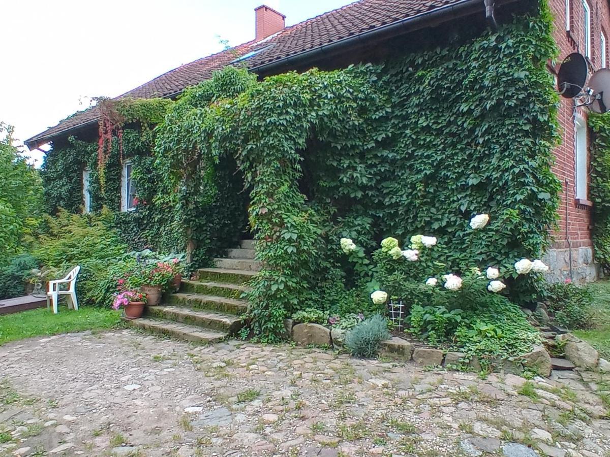 Agroturystyka Pod Debem Jonkowo Esterno foto